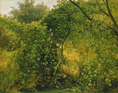 Bushes at Pillnitz by Karl Gustav Carus